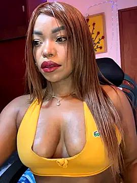 Try our girls live displays and explore the company of endless strippers, with beautiful physiques, vibrating toys and more.