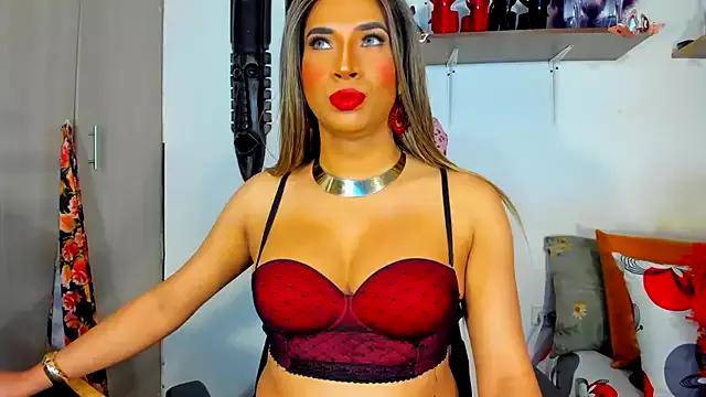 Try our girls live displays and explore the company of endless strippers, with beautiful physiques, vibrating toys and more.