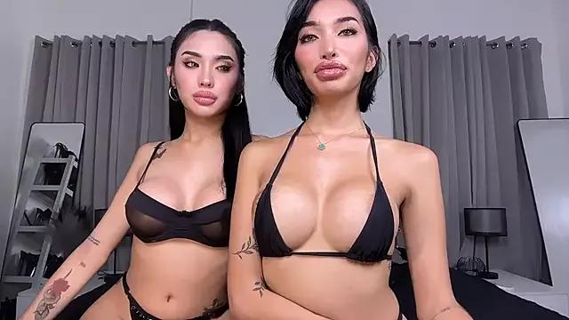 Try our girls live displays and explore the company of endless strippers, with beautiful physiques, vibrating toys and more.