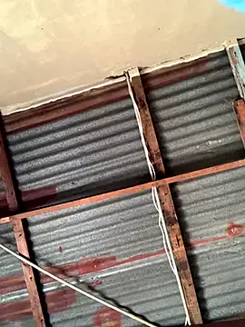 Avatar of SEXY_TOKYOxxx