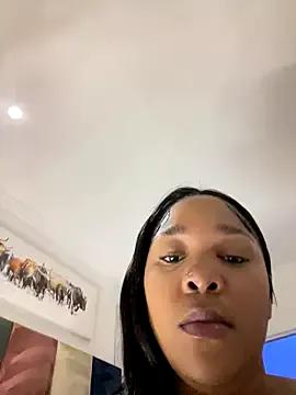 Try our girls live displays and explore the company of endless strippers, with beautiful physiques, vibrating toys and more.