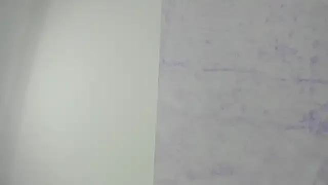 Avatar of shantala_nastasiia