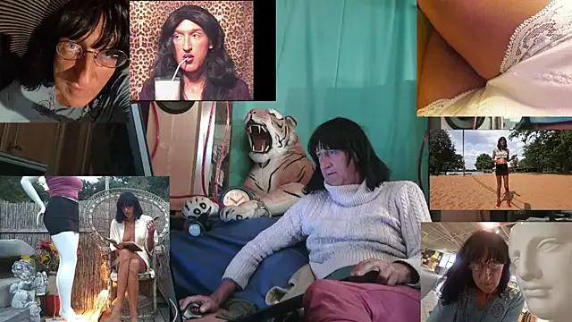 Try our girls live displays and explore the company of endless strippers, with beautiful physiques, vibrating toys and more.