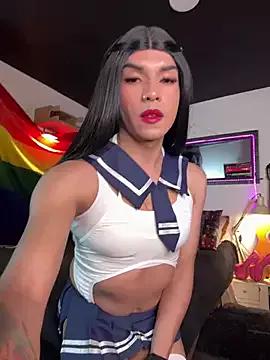 Try our girls live displays and explore the company of endless strippers, with beautiful physiques, vibrating toys and more.