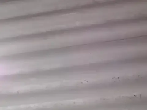 Avatar of sophiadaza666