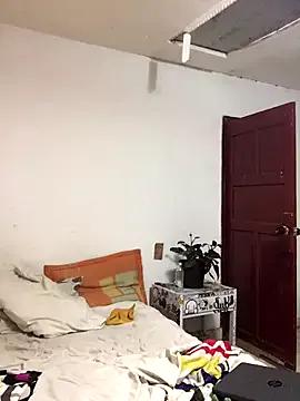 Try our girls live displays and explore the company of endless strippers, with beautiful physiques, vibrating toys and more.