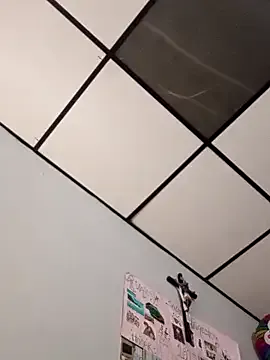 Avatar of stefanie010