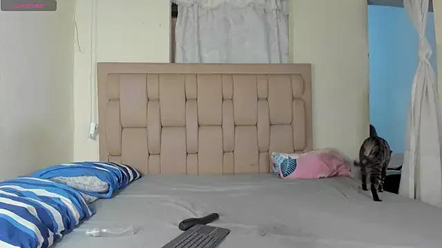 Try our girls live displays and explore the company of endless strippers, with beautiful physiques, vibrating toys and more.