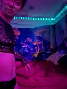 Try our girls live displays and explore the company of endless strippers, with beautiful physiques, vibrating toys and more.