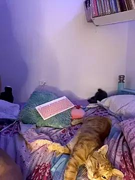 Try our girls live displays and explore the company of endless strippers, with beautiful physiques, vibrating toys and more.