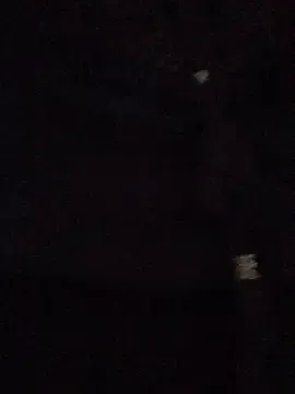 Avatar of SweetLatiin_