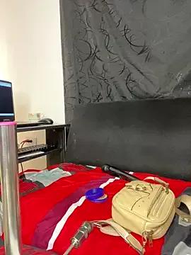 Try our girls live displays and explore the company of endless strippers, with beautiful physiques, vibrating toys and more.