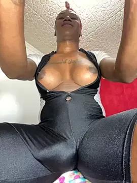 Try our girls live displays and explore the company of endless strippers, with beautiful physiques, vibrating toys and more.