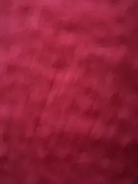 Avatar of Talia_Bonet