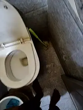 Avatar of Telugu-Rowdy-pilla