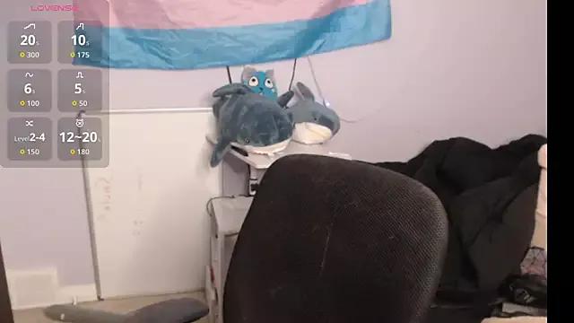 Try our girls live displays and explore the company of endless strippers, with beautiful physiques, vibrating toys and more.