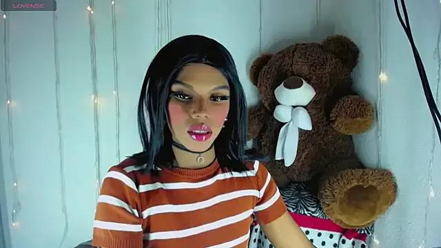 Try our girls live displays and explore the company of endless strippers, with beautiful physiques, vibrating toys and more.