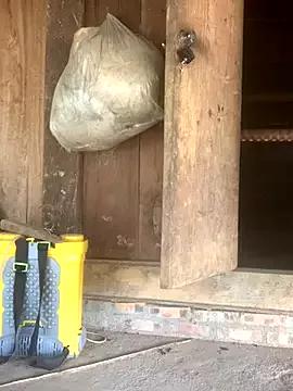 Photos of ThiHa003 from StripChat is Freechat