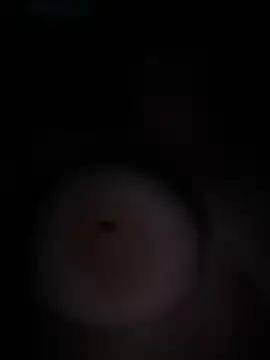 ToniVice webcams show profile image 