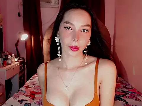 Try our girls live displays and explore the company of endless strippers, with beautiful physiques, vibrating toys and more.