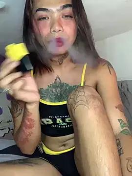 Try our girls live displays and explore the company of endless strippers, with beautiful physiques, vibrating toys and more.