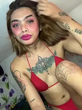 Try our girls live displays and explore the company of endless strippers, with beautiful physiques, vibrating toys and more.