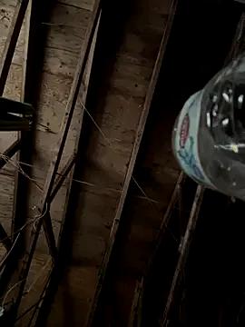 Try our girls live displays and explore the company of endless strippers, with beautiful physiques, vibrating toys and more.