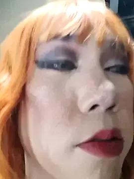 Try our girls live displays and explore the company of endless strippers, with beautiful physiques, vibrating toys and more.