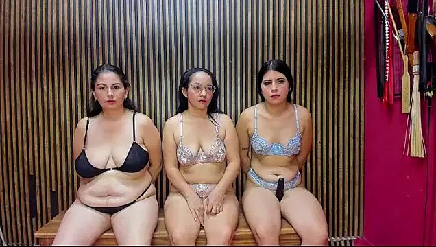 Try our girls live displays and explore the company of endless strippers, with beautiful physiques, vibrating toys and more.