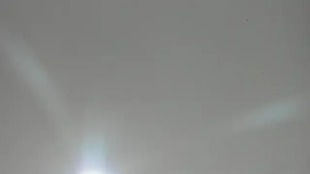 veronica_hill_ — Show anal + control lush x5min