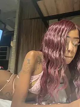Try our girls live displays and explore the company of endless strippers, with beautiful physiques, vibrating toys and more.