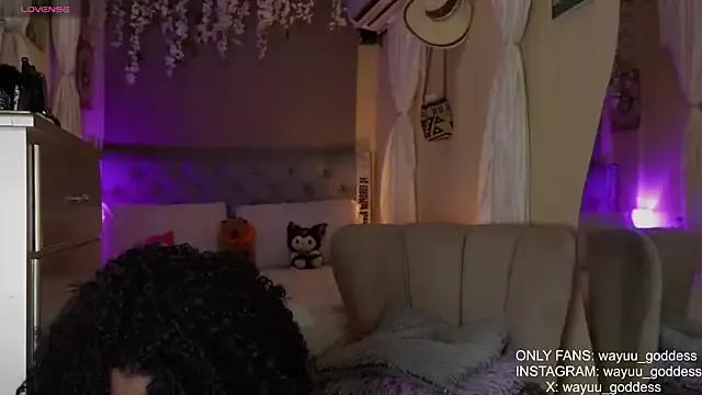 Try our girls live displays and explore the company of endless strippers, with beautiful physiques, vibrating toys and more.