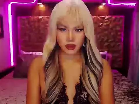 Try our girls live displays and explore the company of endless strippers, with beautiful physiques, vibrating toys and more.