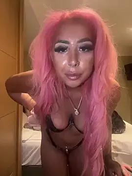 Try our girls live displays and explore the company of endless strippers, with beautiful physiques, vibrating toys and more.