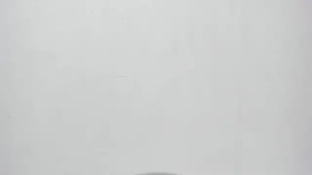 Avatar of zoe_martins_