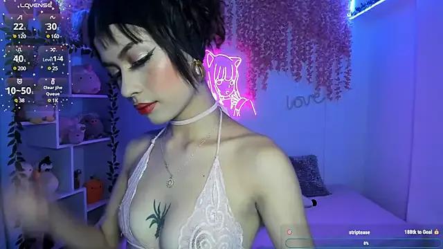 Try our girls live displays and explore the company of endless strippers, with beautiful physiques, vibrating toys and more.